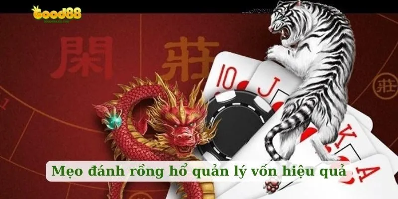 Mẹo đánh rồng hổ quản lý vốn hiệu quả